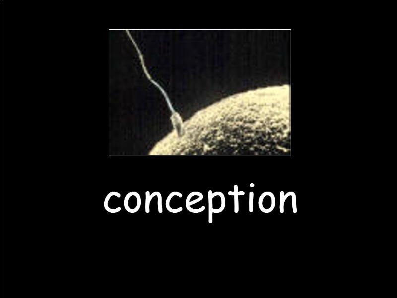 conception